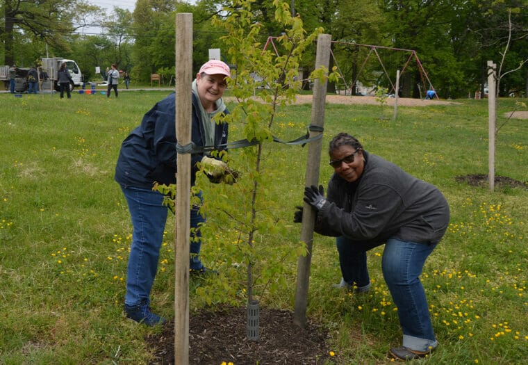 Arbor Day 2023